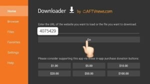 instalar BlueTV no Fire Stick